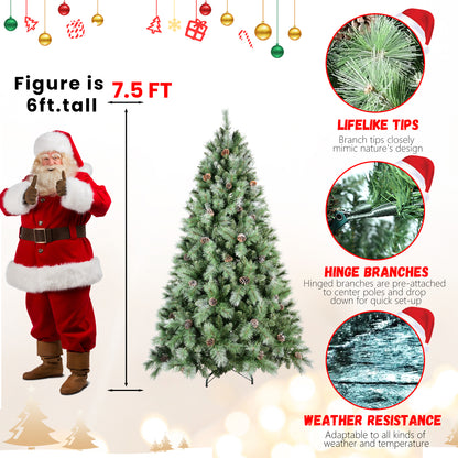 7.5 ft pine cone Christmas tree size illustration
